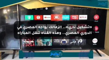 «تشكيل ناري».. الزمالك يواجه المصري في الدوري المصري.. وهذه القناة تنقل المباراة